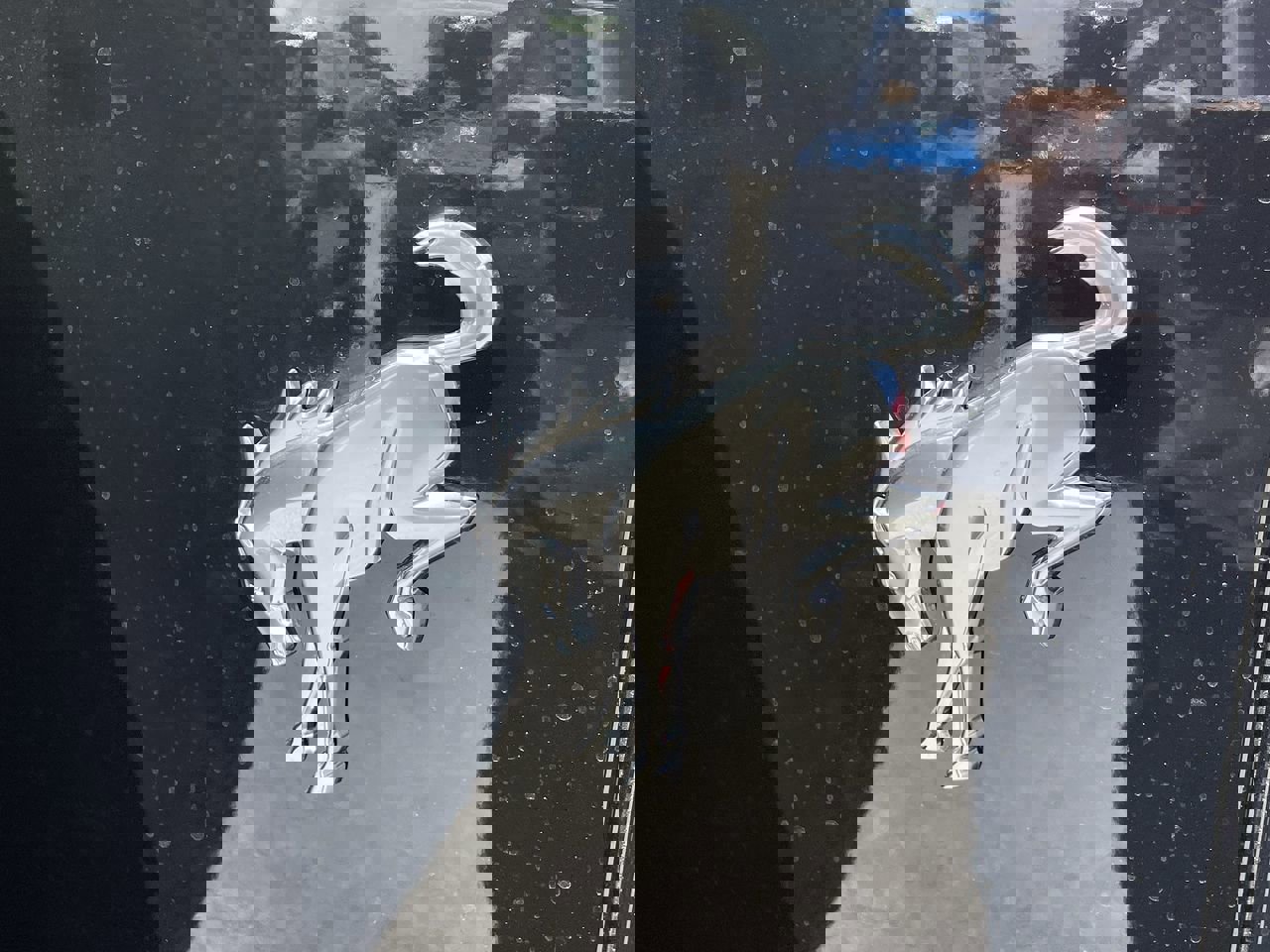 New 2026 Ford Bronco Heritage Edition image 9