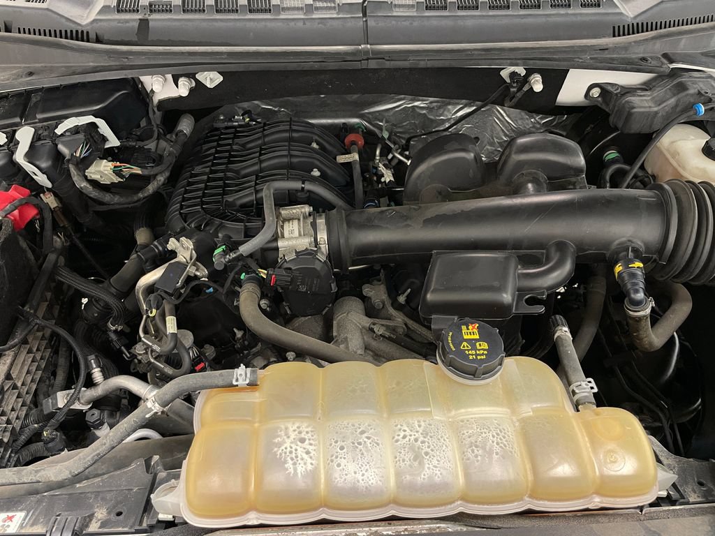 Used 2019 Ford F150 XLT w/ Equipment Group 302A Luxury AWD/4WD image 46