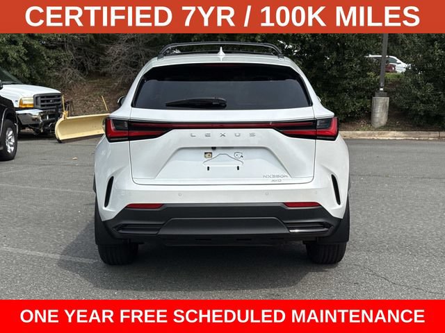 Used 2024 Lexus NX 350h AWD w/ Cold Area Package image 3