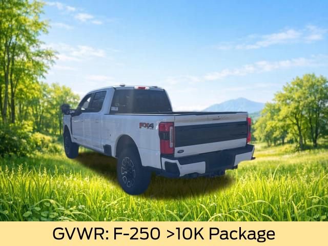 New 2026 Ford F250 Platinum image 5