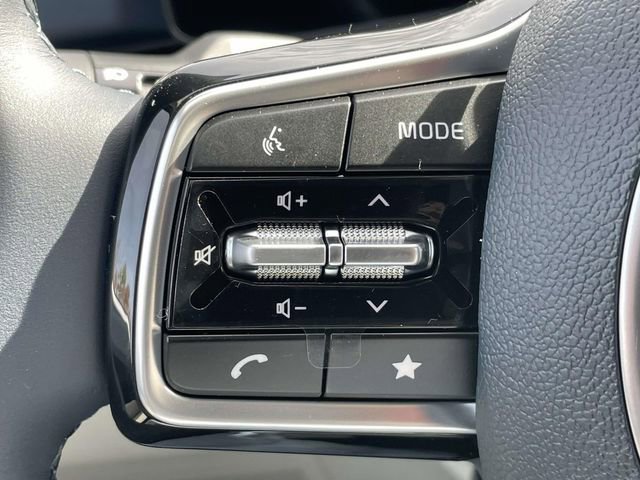 New 2026 Kia Carnival SX Prestige image 30