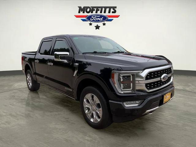 Certified 2023 Ford F150 Platinum w/ Equipment Group 701A High AWD/4WD image 7