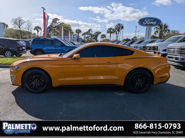 Used 2019 Ford Mustang EcoBoost w/ Equipment Group 101A image 7