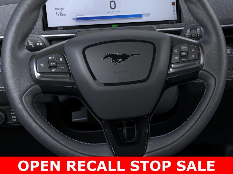 New 2024 Ford Mustang Mach-E GT w/ Bronze Appearance Package image 12