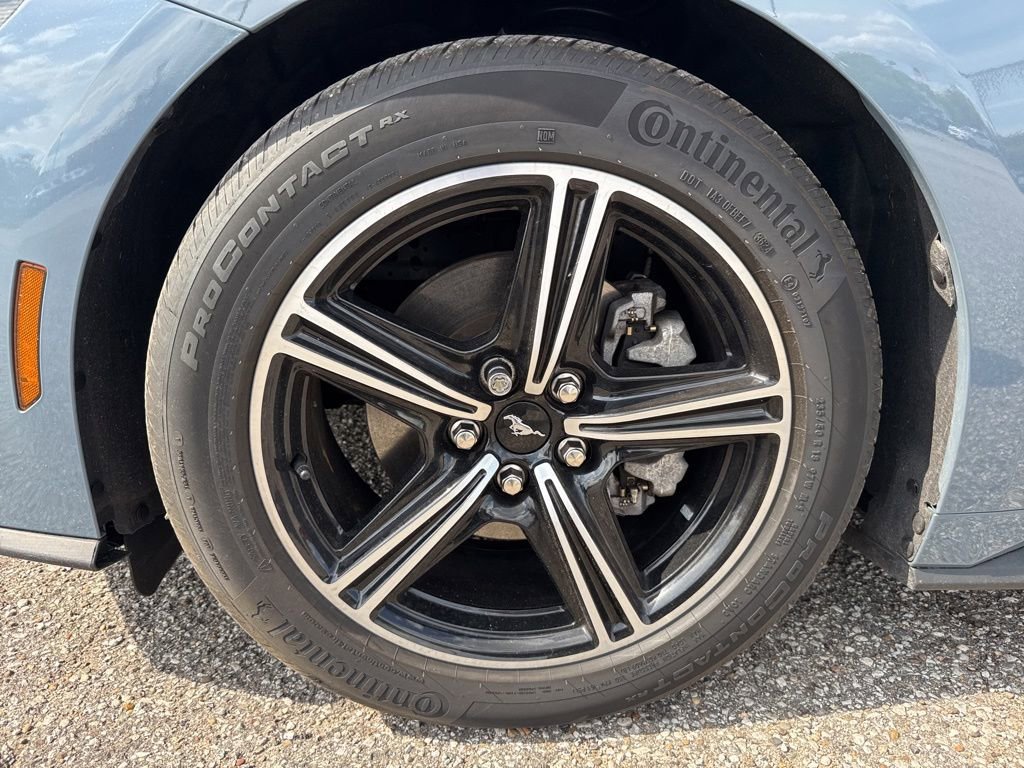 Used 2025 Ford Mustang Premium RWD image 4