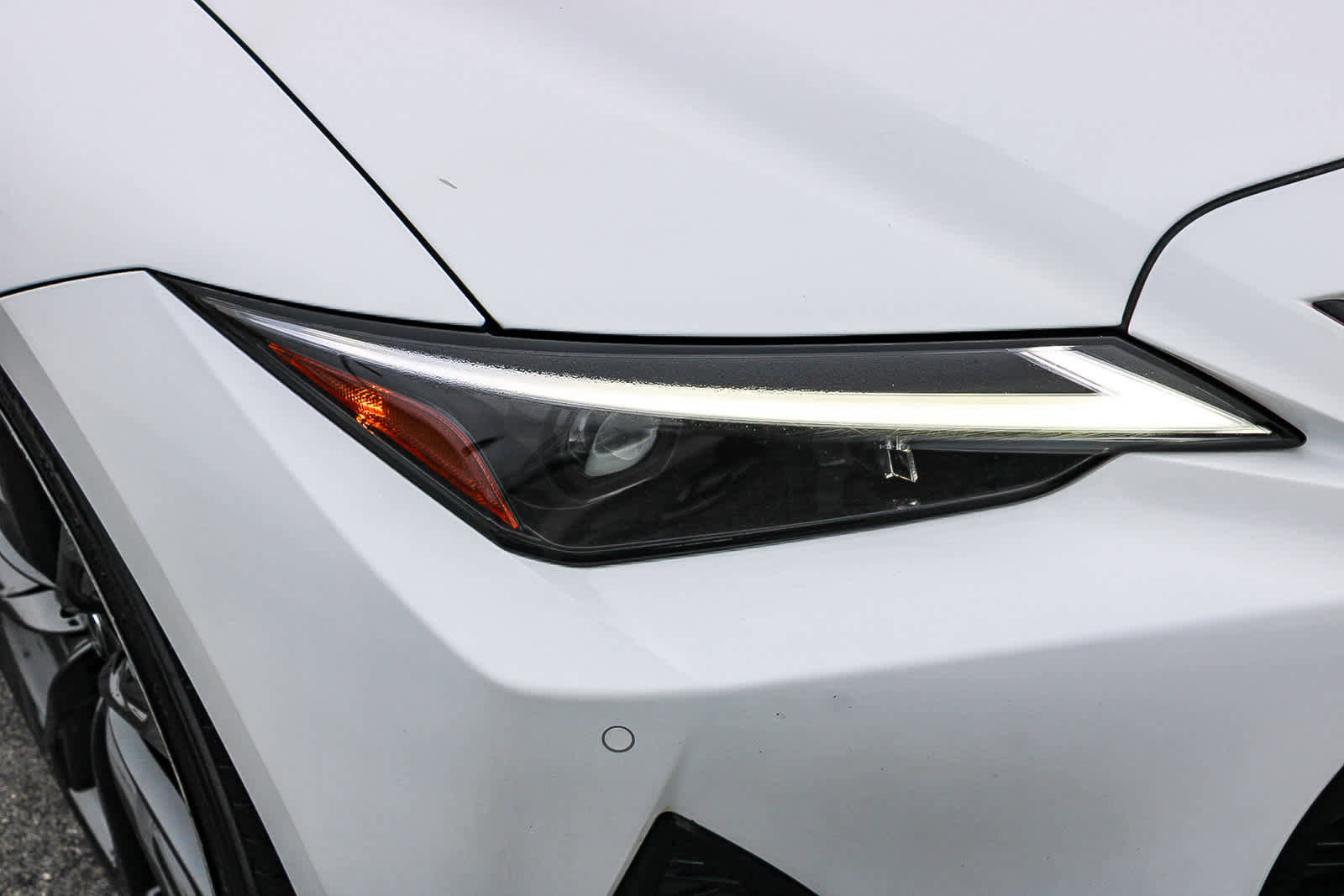 Used 2023 Lexus IS 350 F Sport w/ Accessory Package RWD image 4