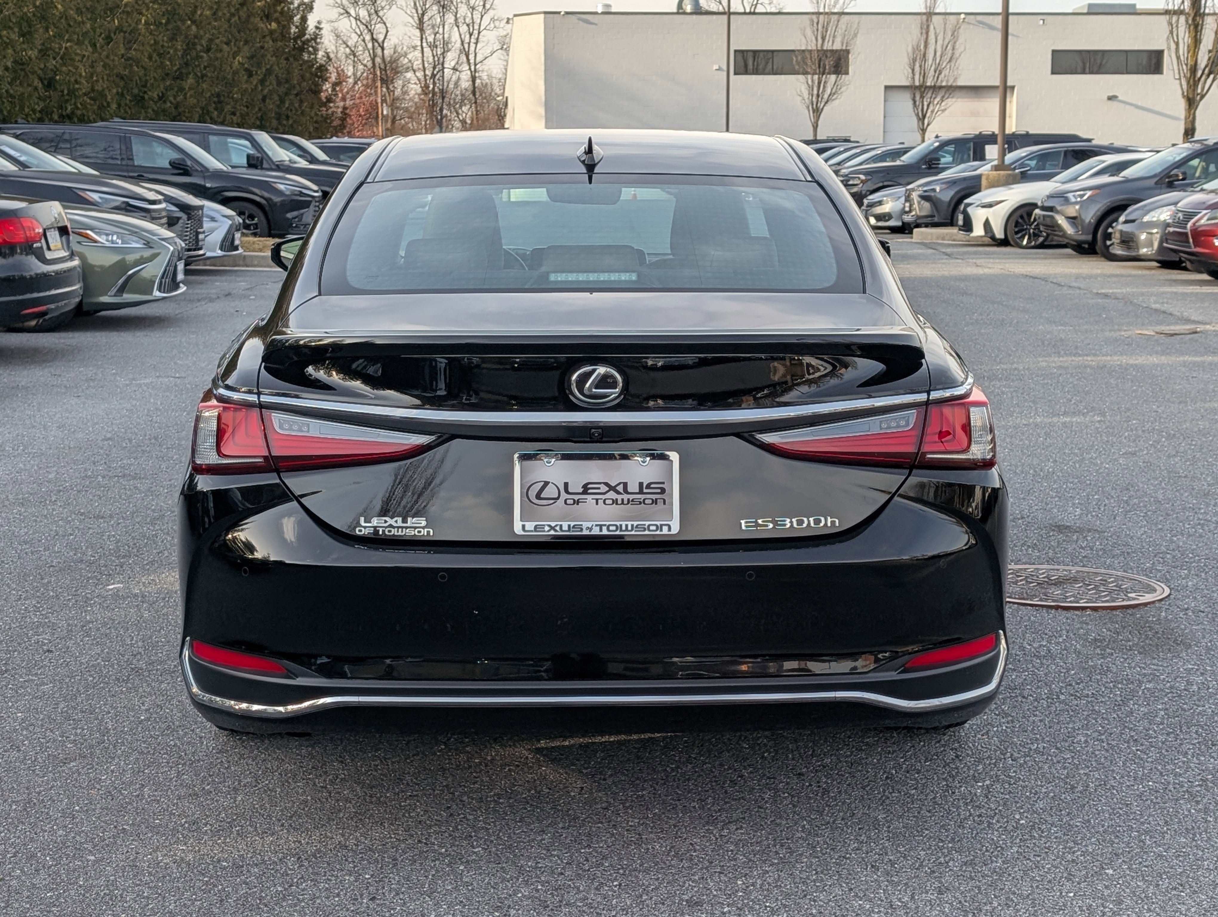 Certified 2025 Lexus ES 300h 300h image 4