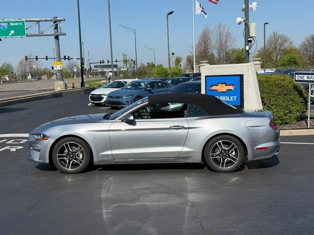 Used 2022 Ford Mustang Premium image 2