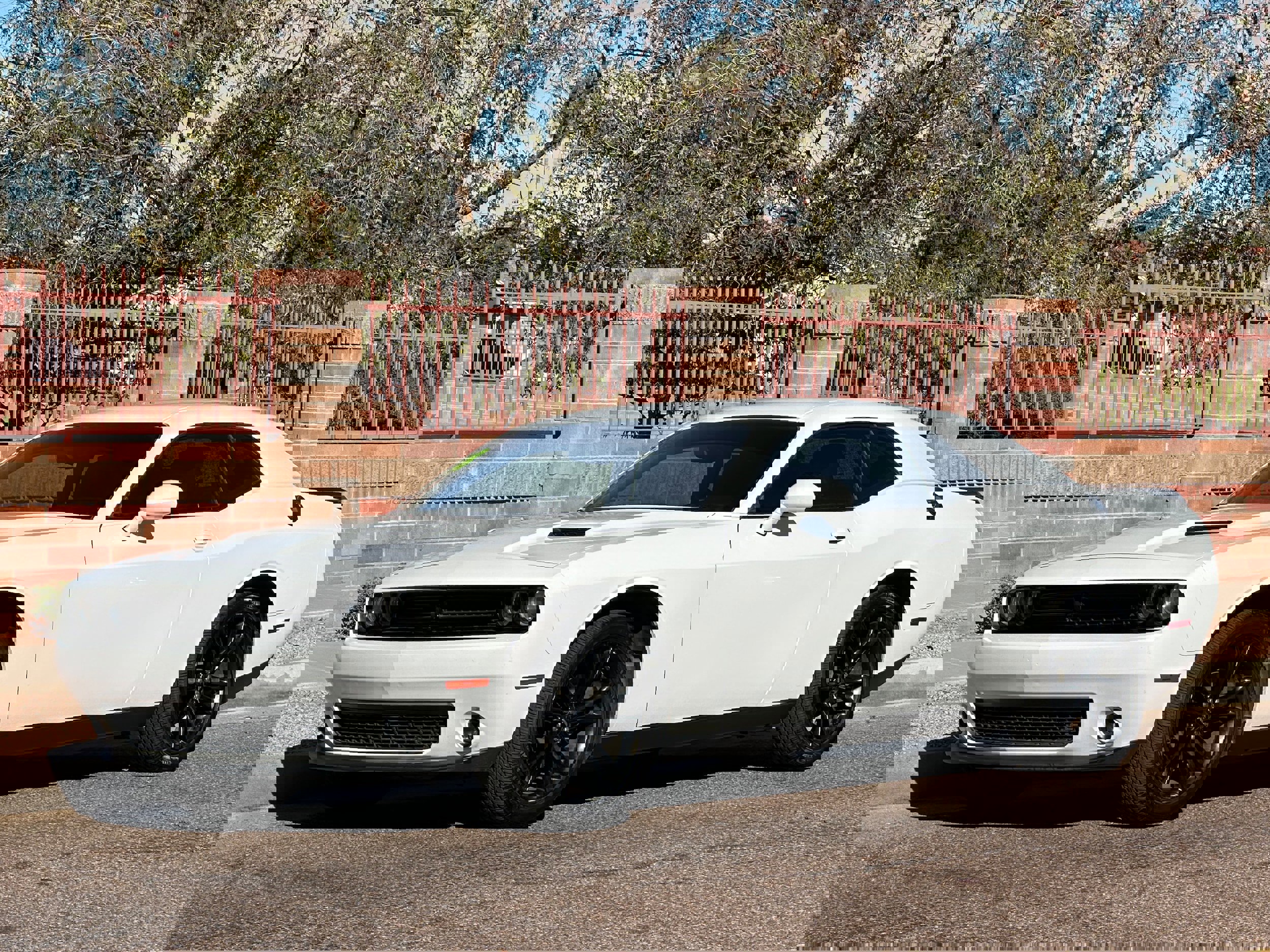 Used 2018 Dodge Challenger SXT w/ Blacktop Package image 1