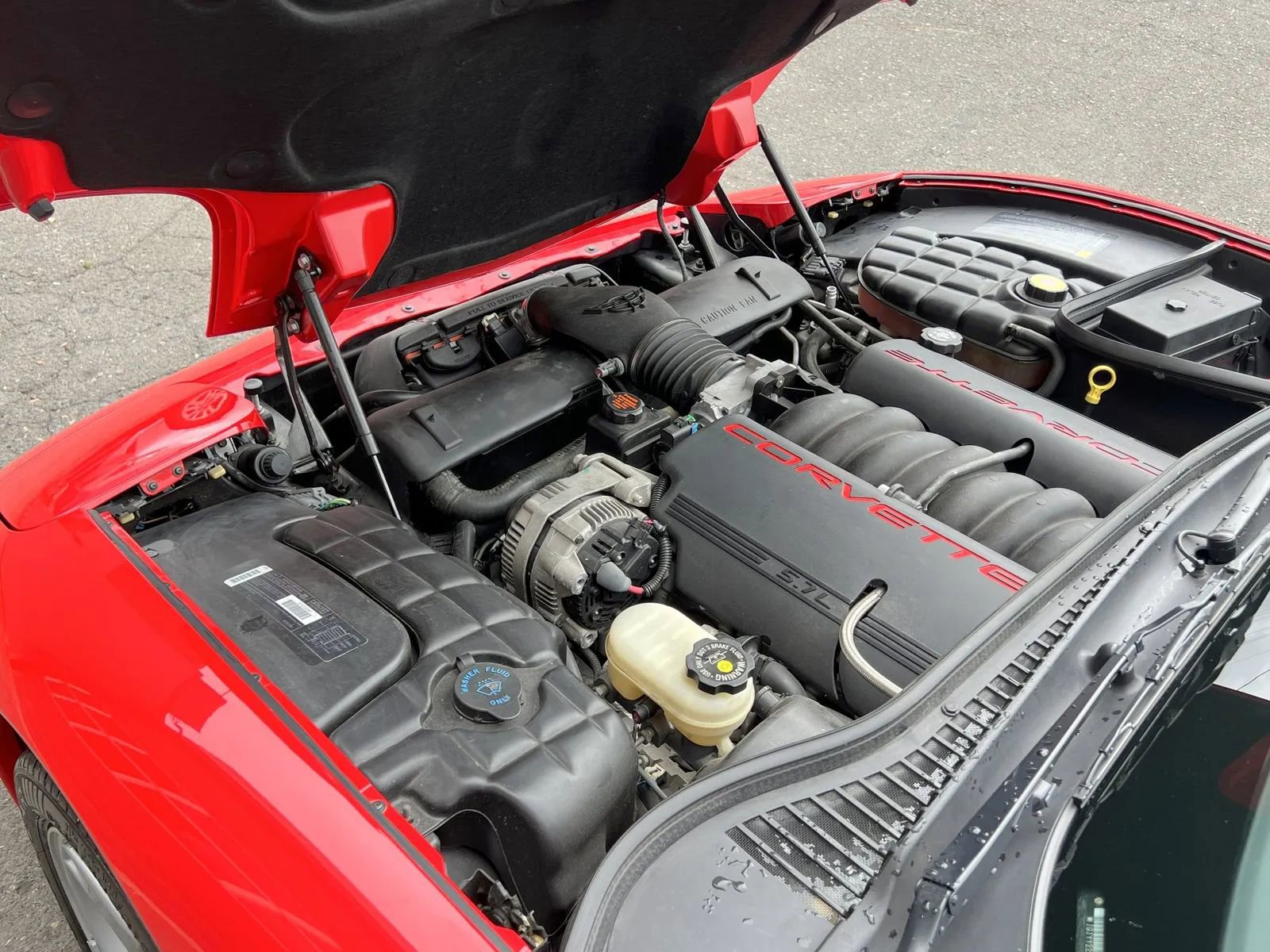 Used 1999 Chevrolet Corvette Coupe w/ Roof Pkg image 11