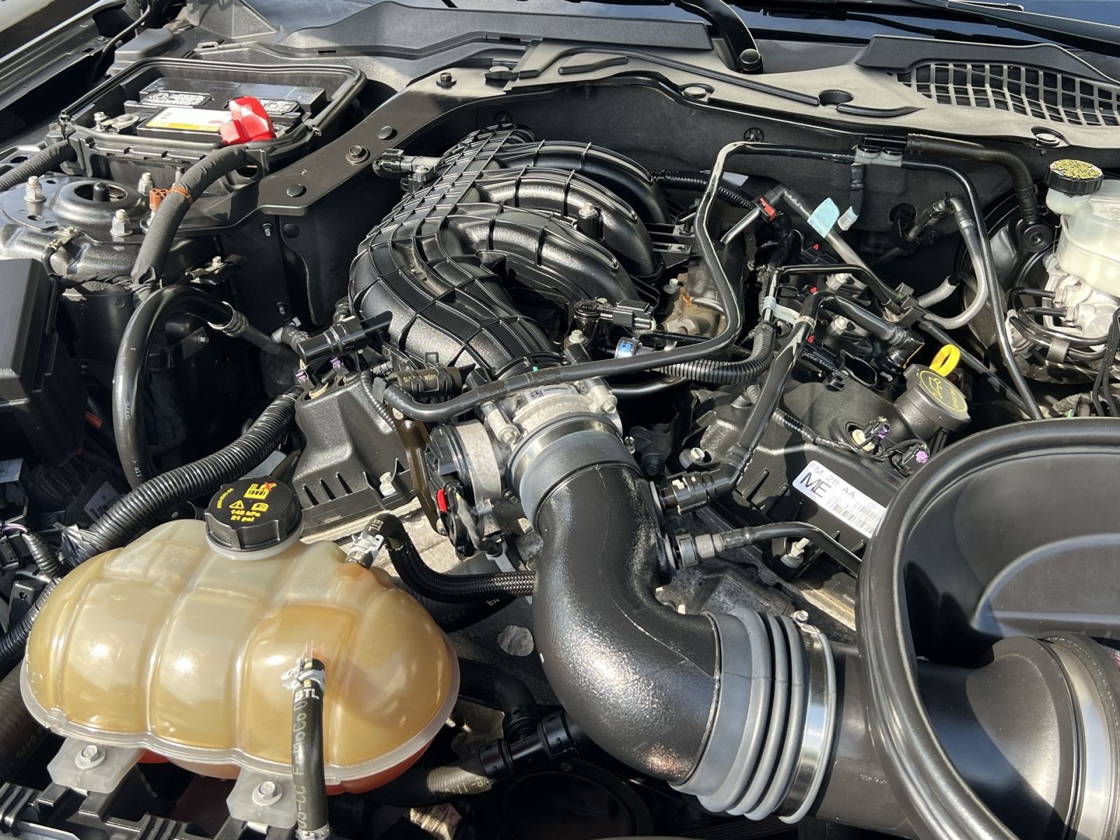 Used 2015 Ford Mustang Coupe RWD image 26