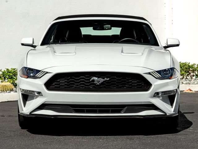 Used 2019 Ford Mustang Premium RWD image 4