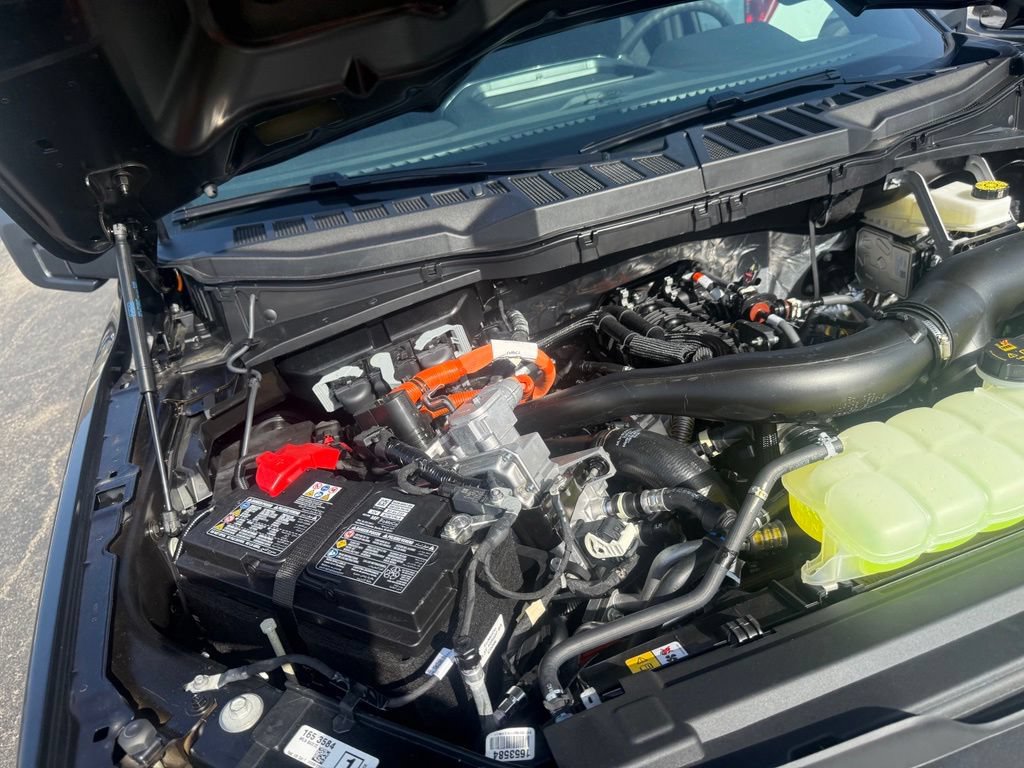 New 2026 Ford F150 STX w/ Equipment Group 200A AWD/4WD image 61