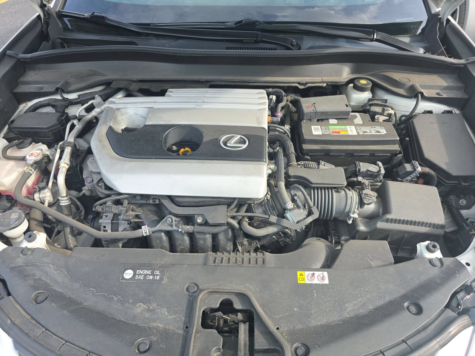 Used 2020 Lexus UX 200 w/ Accessory Package 2 FWD image 8
