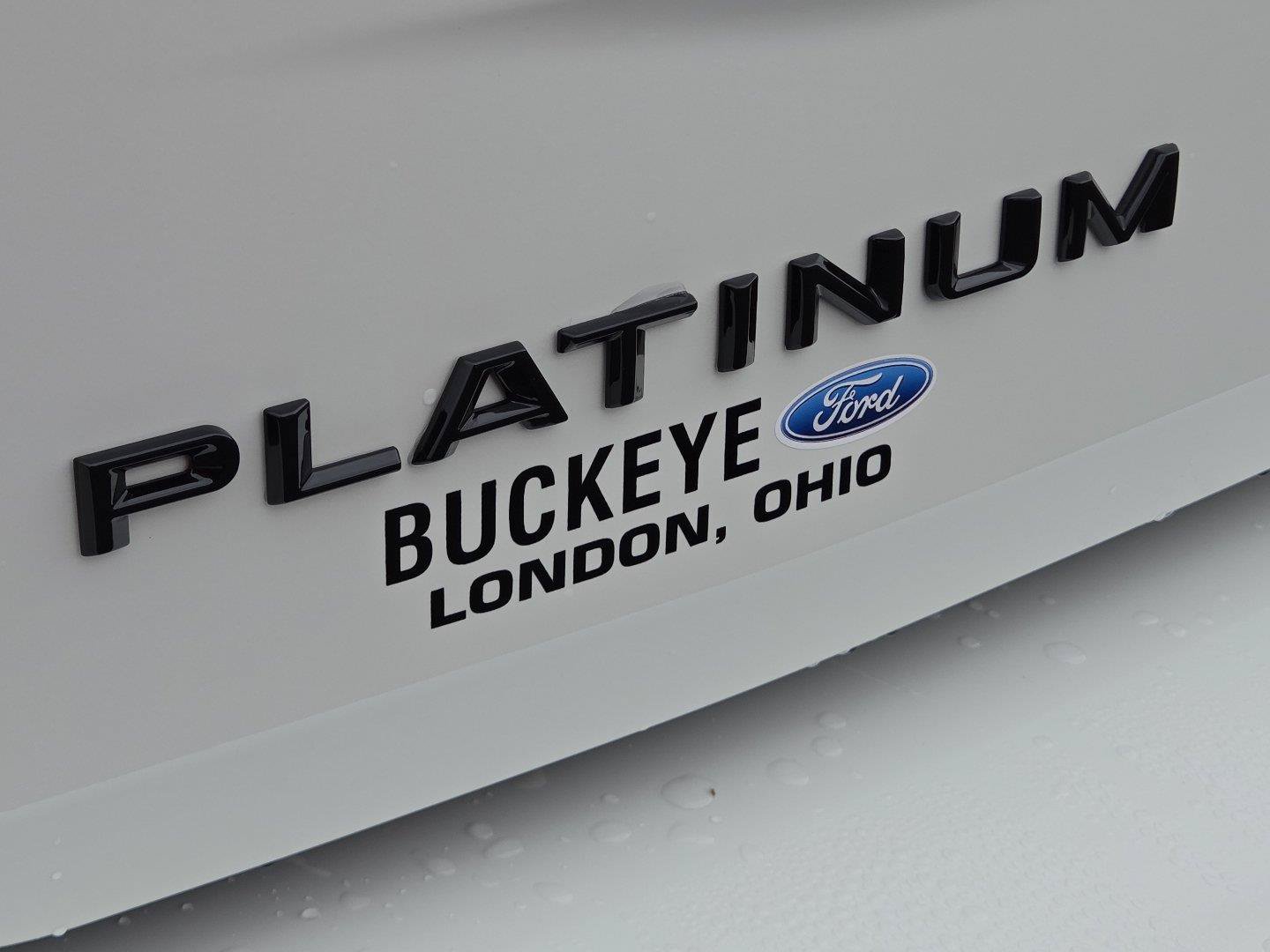 New 2027 Ford Expedition Max Platinum w/ Stealth Performance Package AWD/4WD image 11
