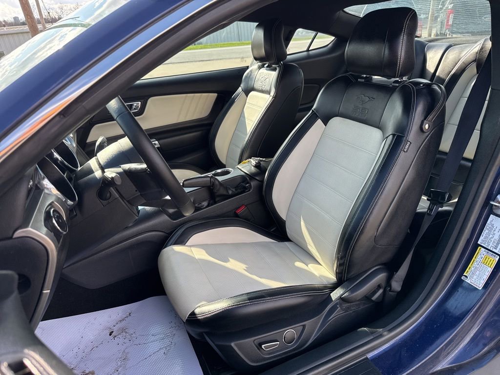 Used 2015 Ford Mustang 50 Years RWD image 3