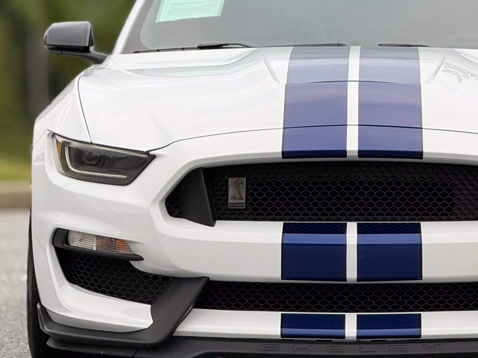 Used 2016 Ford Mustang Shelby GT350 w/ Technology Package RWD image 14