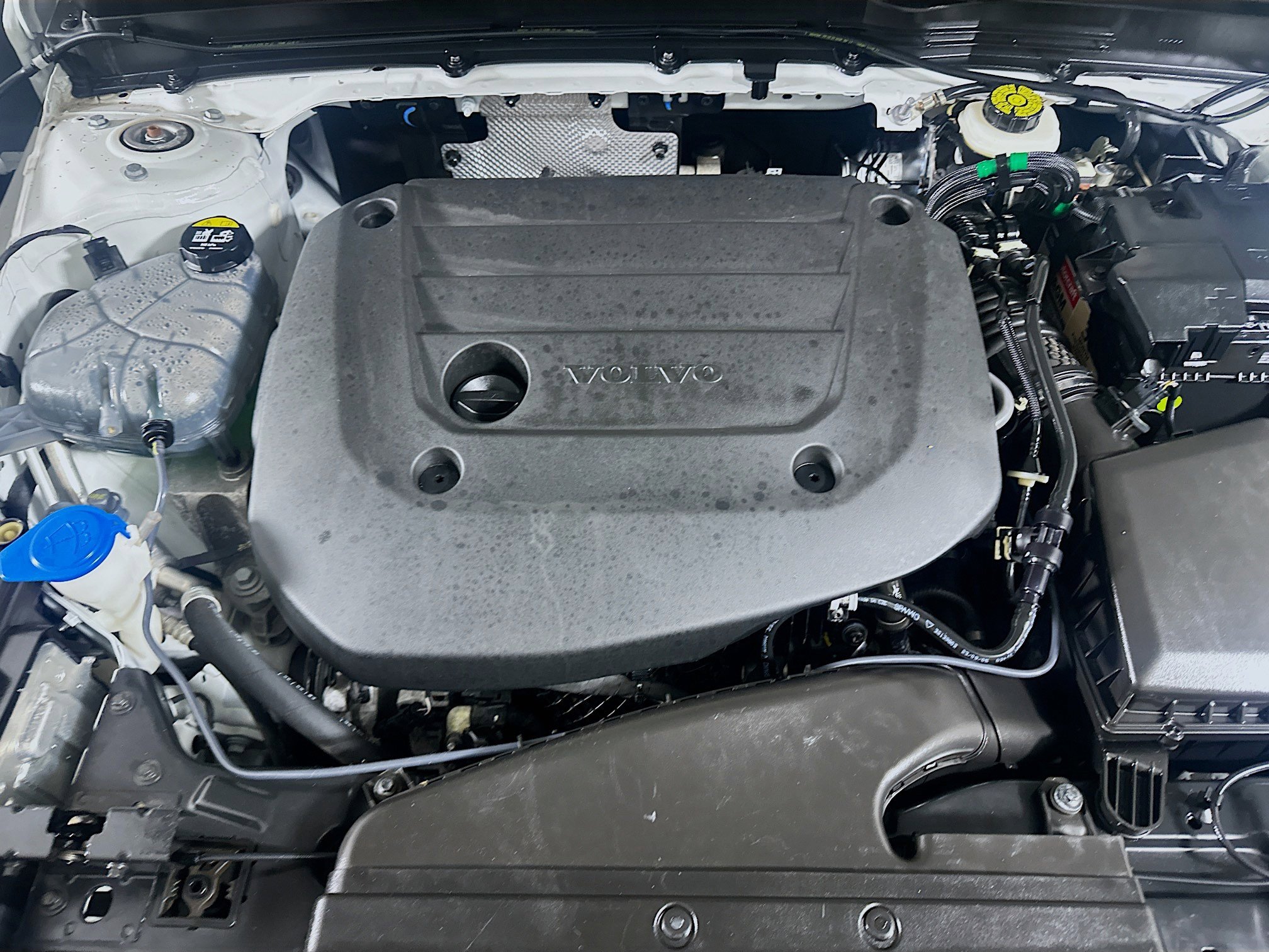 Used 2024 Volvo XC40 B5 Plus w/ Climate Package image 31