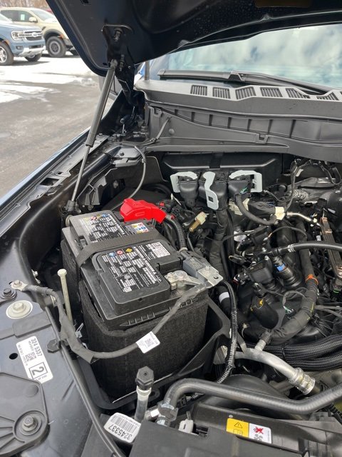 New 2025 Ford F150 STX w/ LOBO Package image 18