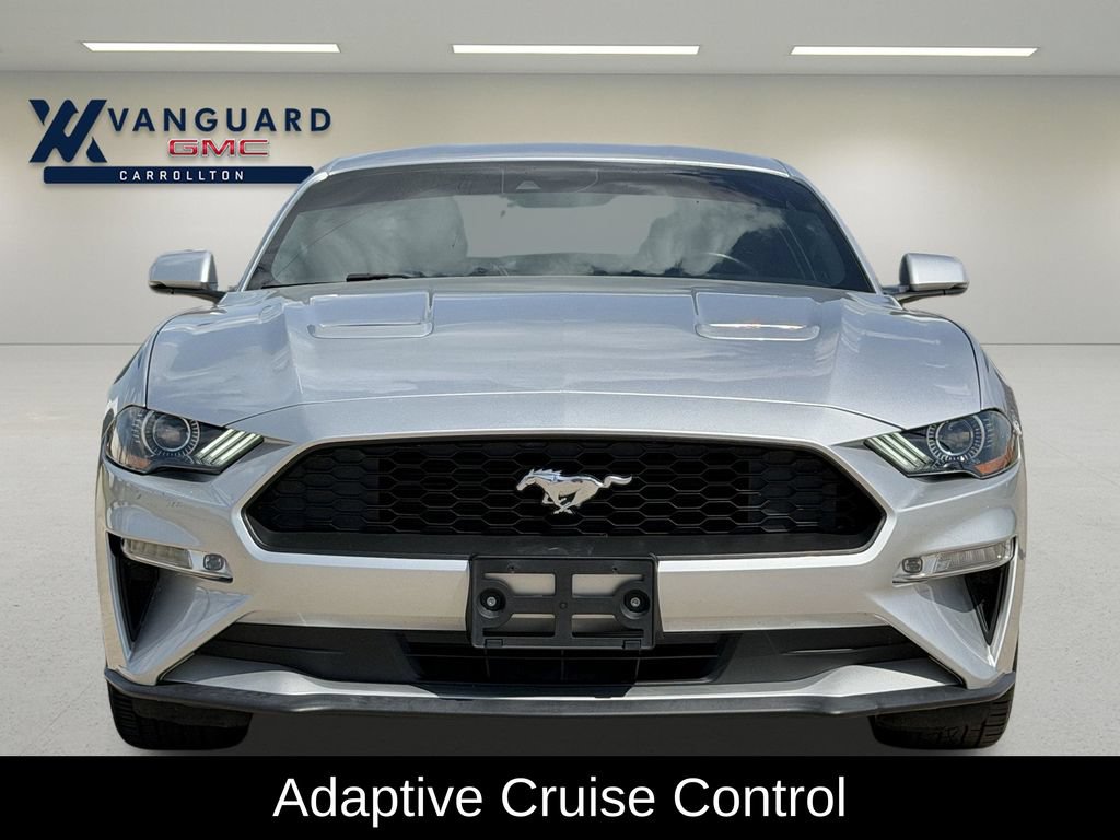 Used 2019 Ford Mustang Premium w/ Equipment Group 201A RWD image 4