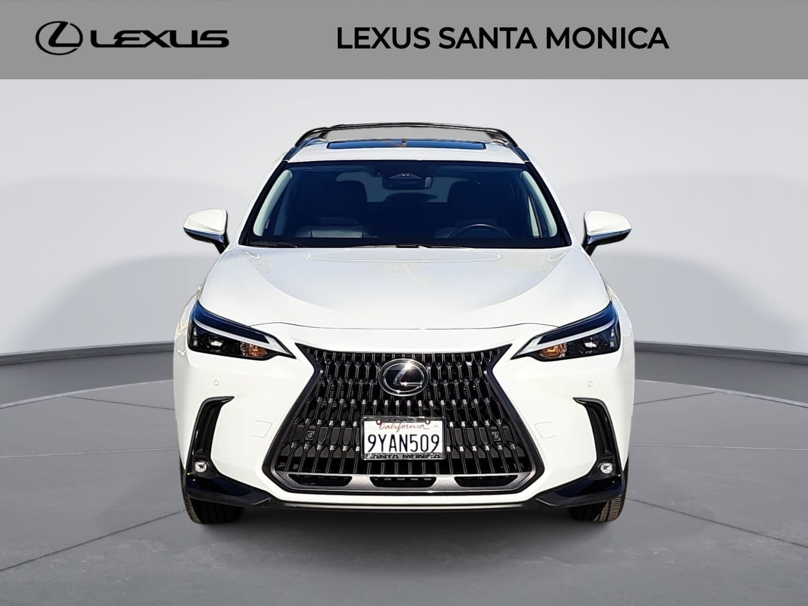Used 2026 Lexus NX 350h AWD w/ Accessory Package (2T) image 2