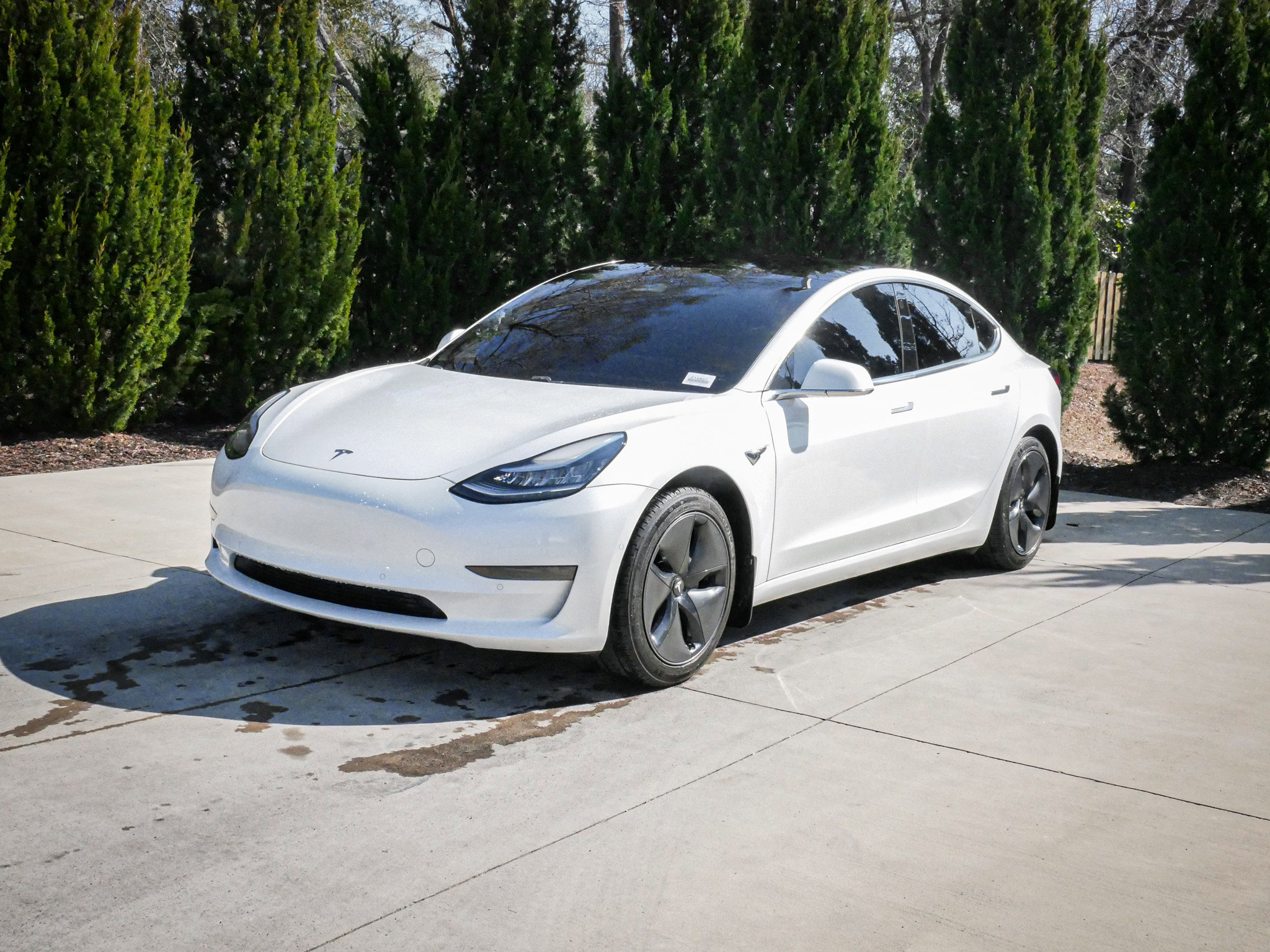 Used 2020 Tesla Model 3 Standard Range image 5