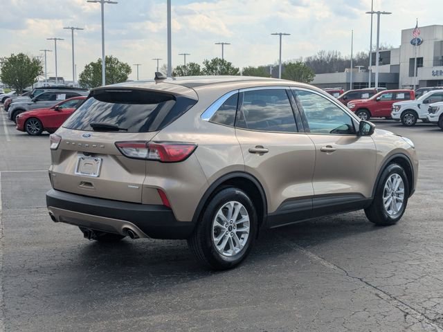 Used 2020 Ford Escape SE image 5
