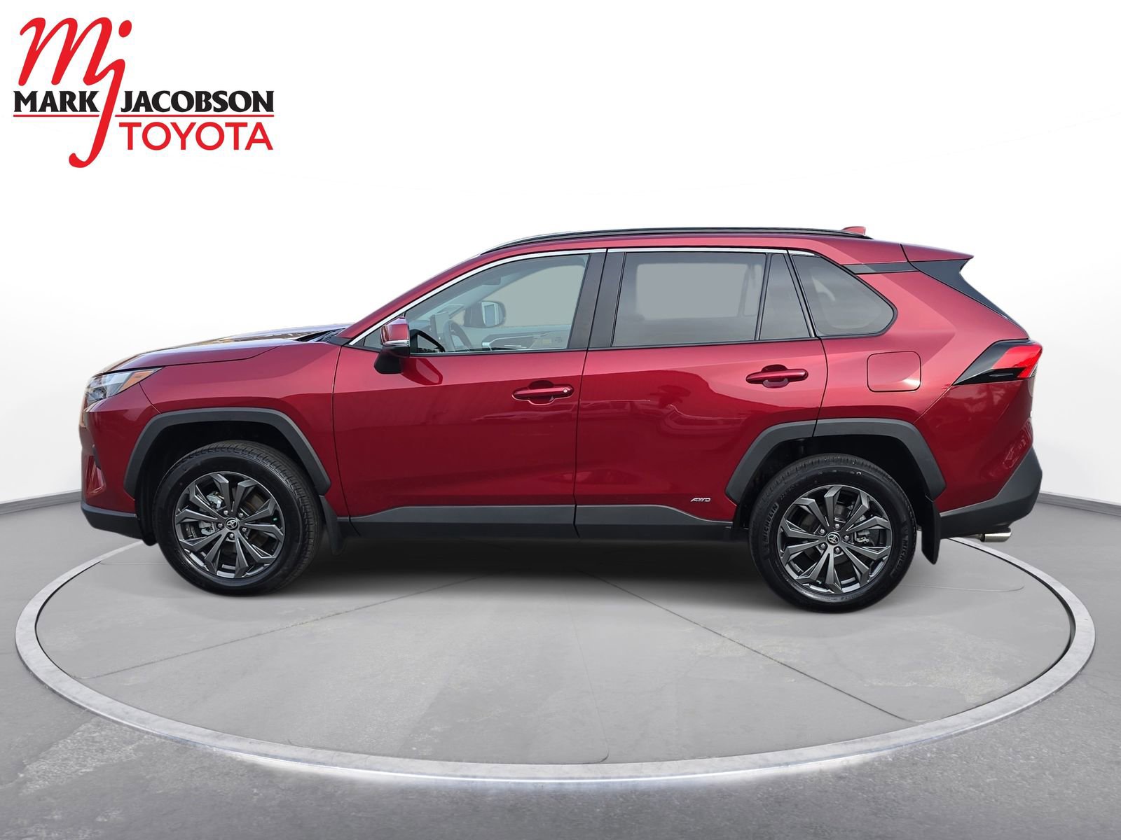 Used 2025 Toyota RAV4 XLE Premium image 15