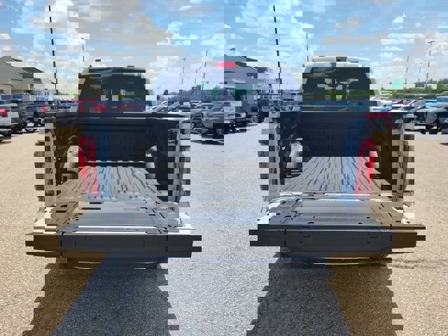 New 2025 Ford F150 Platinum image 32
