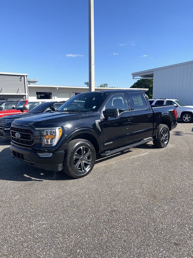 Used 2023 Ford F150 XLT w/ Equipment Group 302A High AWD/4WD image 1