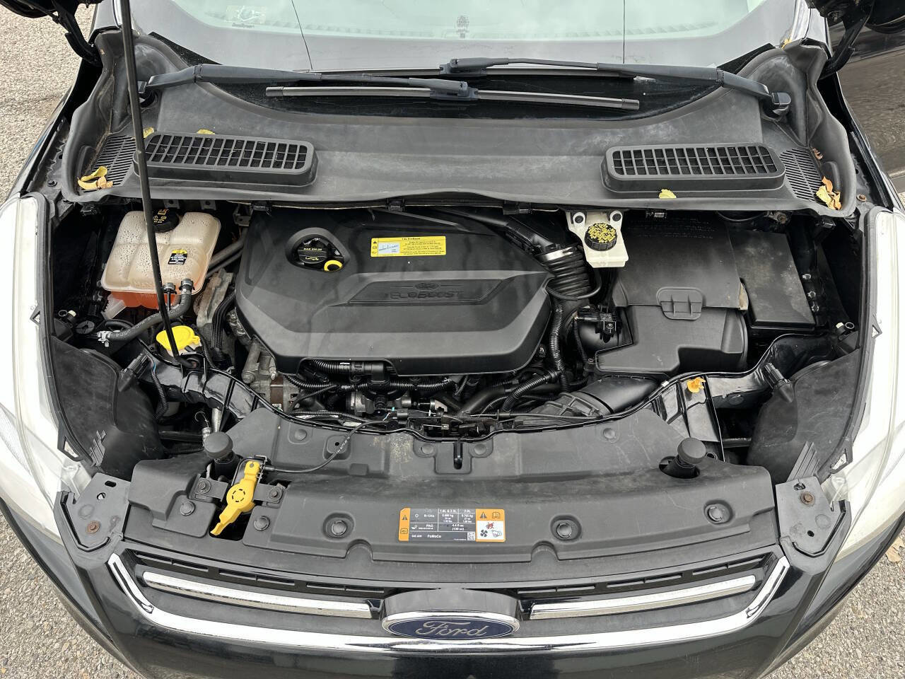 Used 2013 Ford Escape SE image 11