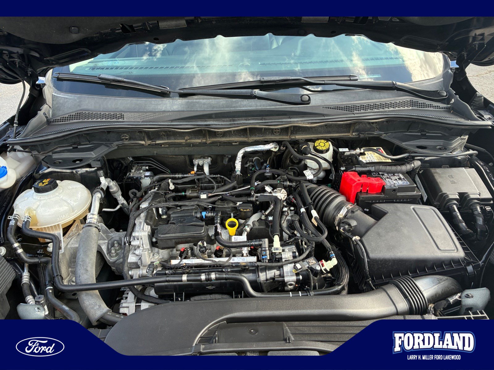 Used 2021 Ford Escape SEL AWD/4WD image 21