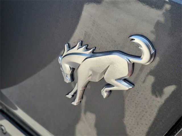 New 2026 Ford Bronco Base image 5