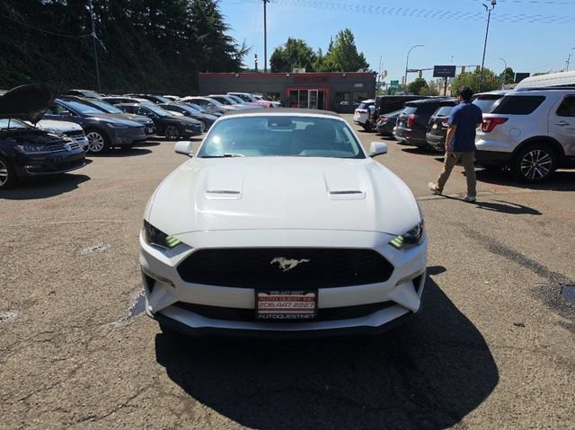 Used 2022 Ford Mustang Premium RWD image 2