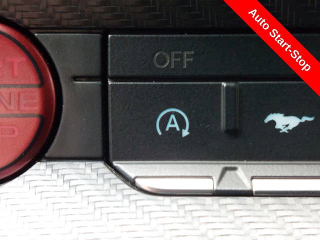 Used 2024 Ford Mustang Coupe image 14