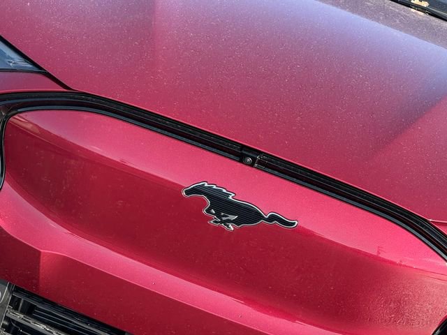 New 2025 Ford Mustang Mach-E Premium w/ Interior Protection Package image 3