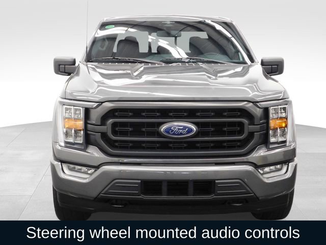 Used 2023 Ford F150 XLT w/ Equipment Group 302A High image 3