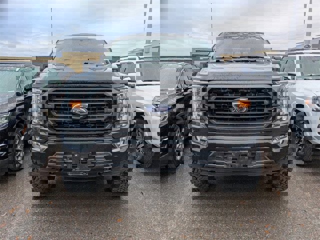 Used 2021 Ford F150 XLT w/ Equipment Group 302A High image 6