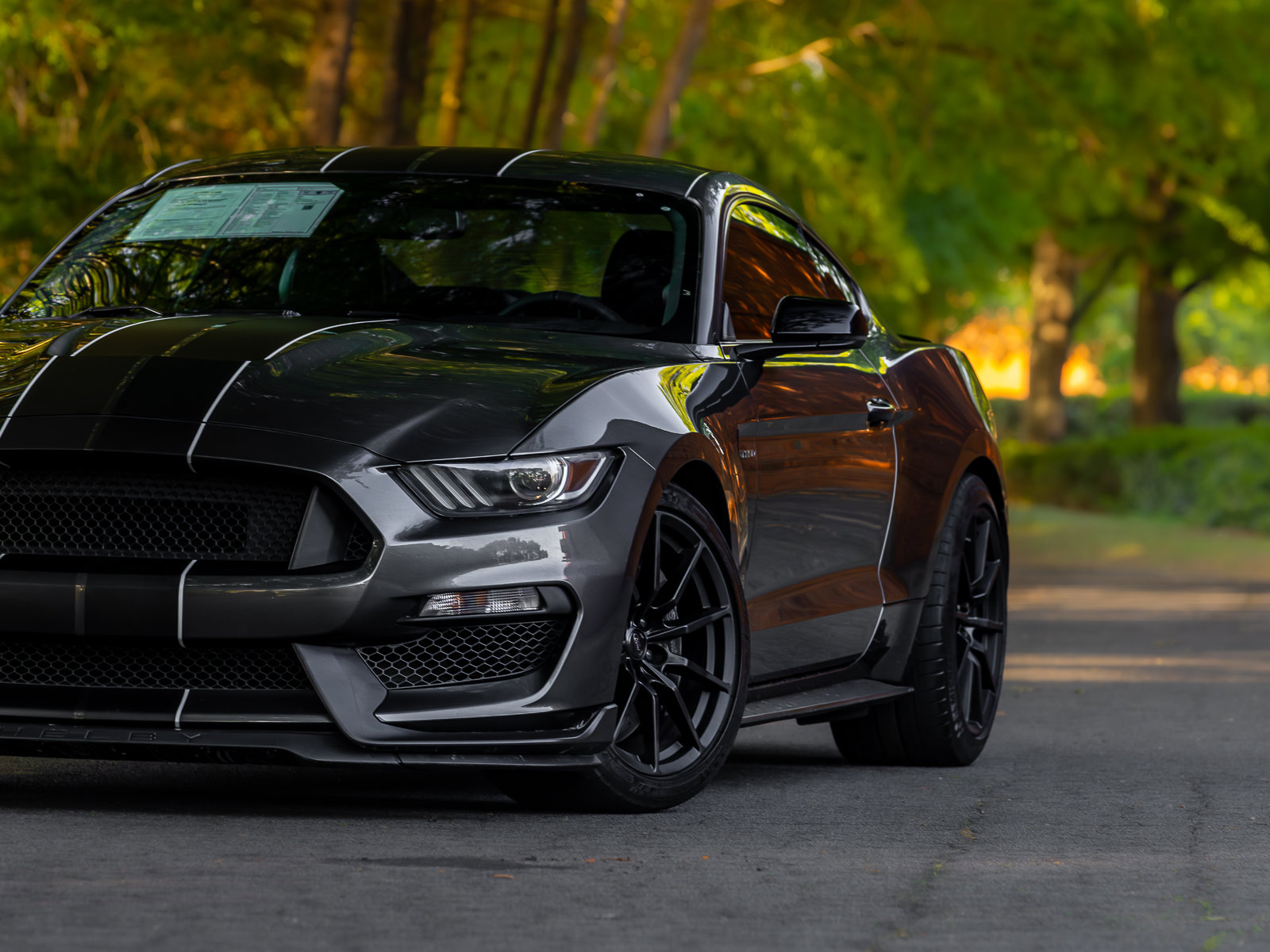 Used 2016 Ford Mustang Shelby GT350 w/ Technology Package RWD image 28