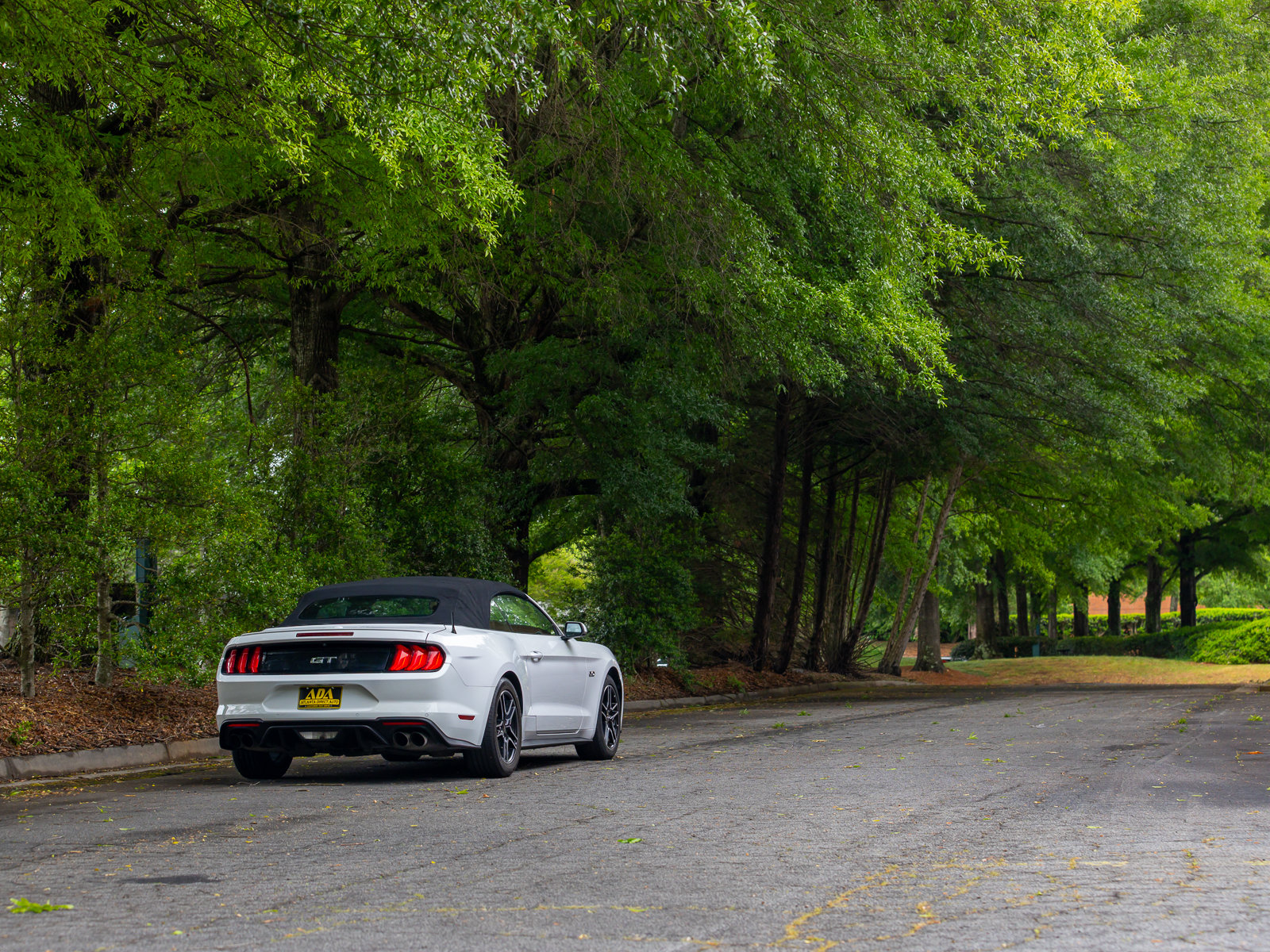Used 2019 Ford Mustang GT Premium w/ Equipment Group 401A RWD image 38