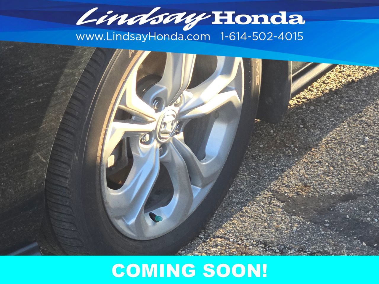 Used 2024 Honda Accord LX image 3