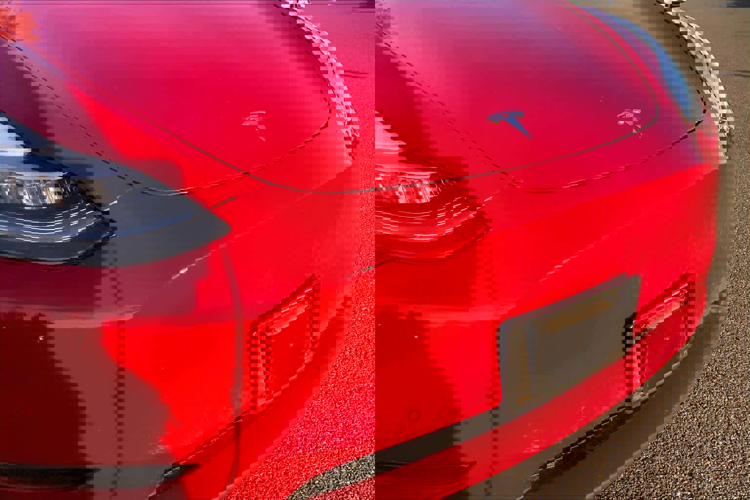 Used 2022 Tesla Model Y Long Range image 29