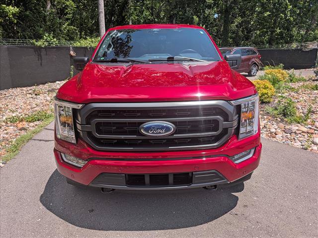 Used 2021 Ford F150 XLT w/ Equipment Group 302A High AWD/4WD image 8