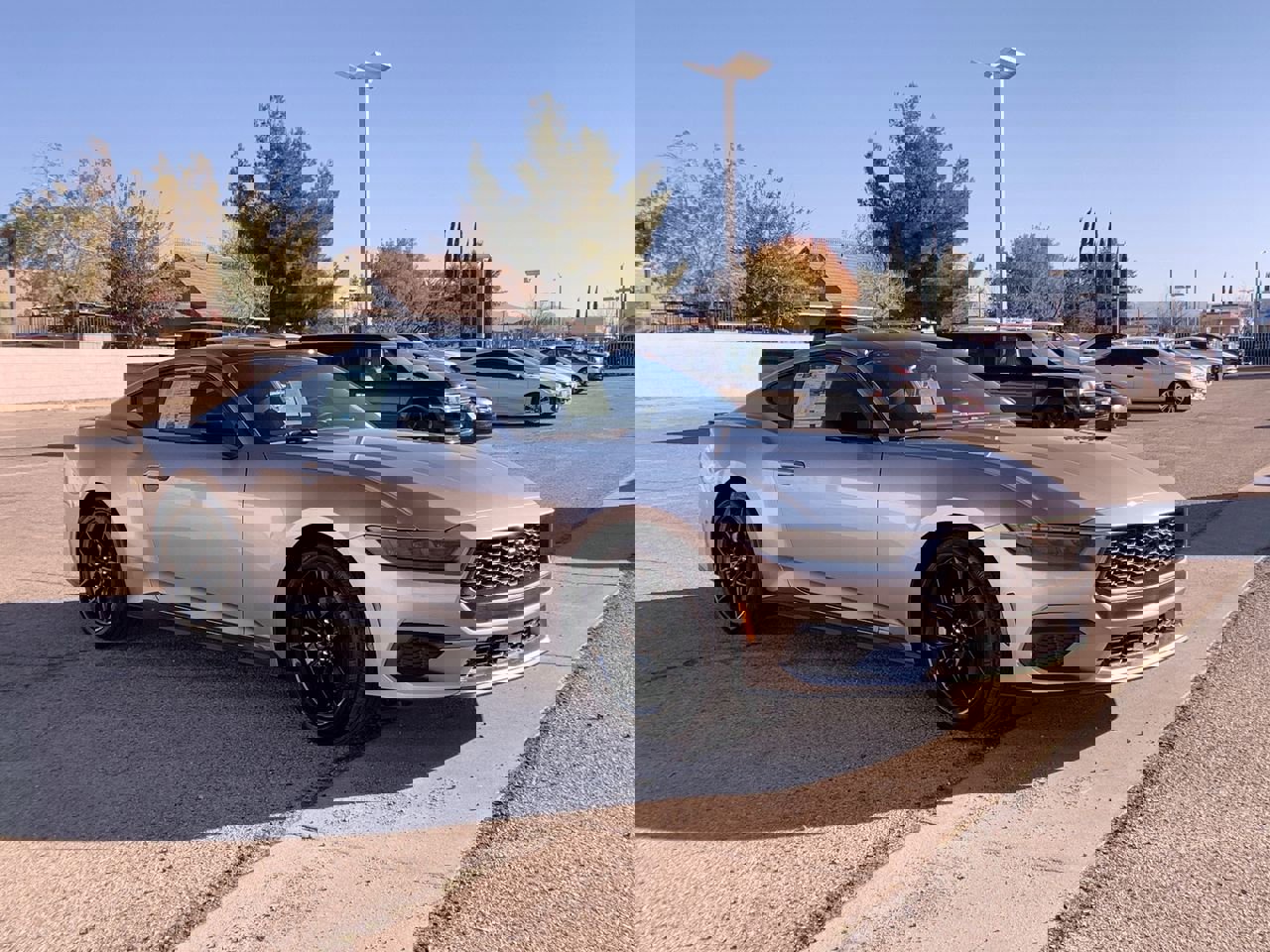 New 2025 Ford Mustang Coupe w/ Mustang Nite Pony Package image 2