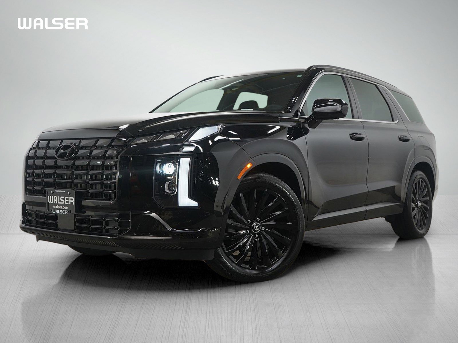 Used 2025 Hyundai Palisade Calligraphy image 1