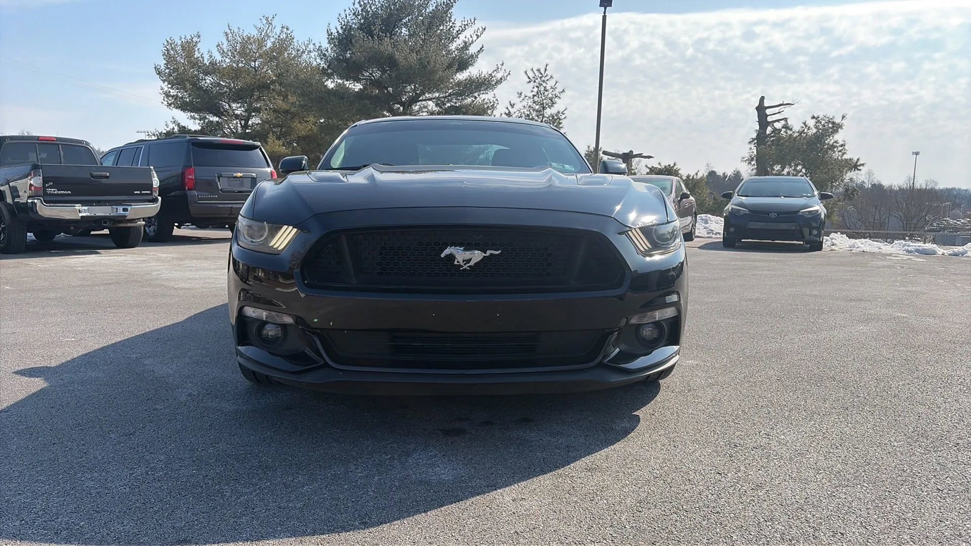 Used 2015 Ford Mustang GT Premium image 5