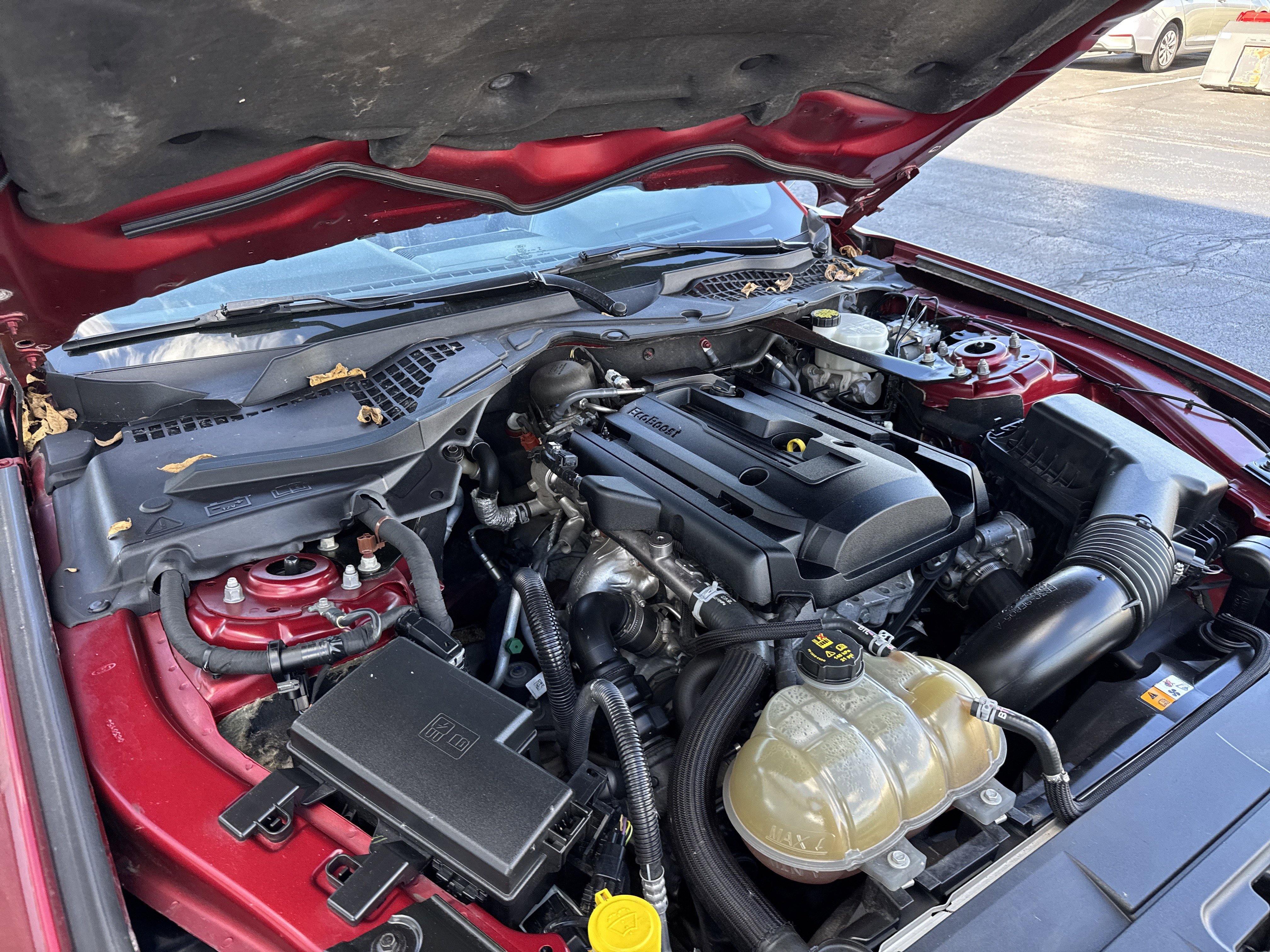 Used 2018 Ford Mustang Premium w/ Equipment Group 201A image 54