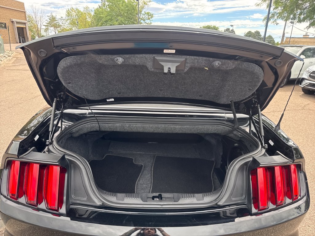 Used 2015 Ford Mustang Premium w/ Equipment Group 201A RWD image 8