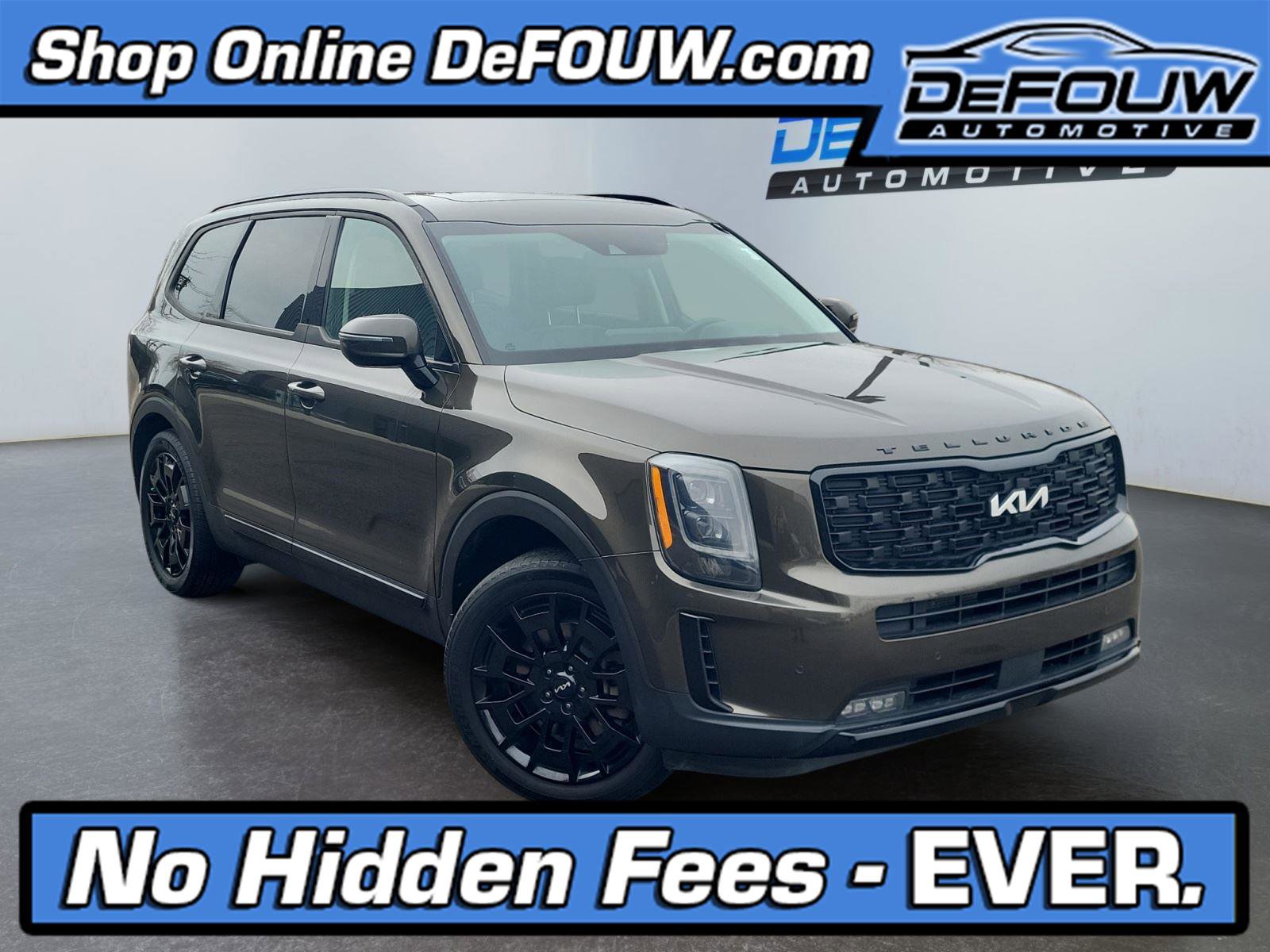 Used 2022 Kia Telluride SX image 1