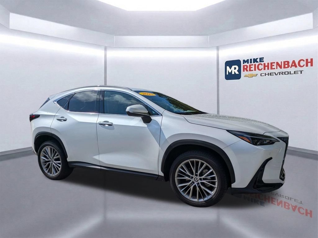 Used 2025 Lexus NX 350h AWD w/ Cold Area Package image 2